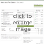 Thumbnail of search result page